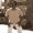 Avatar de shGib33
